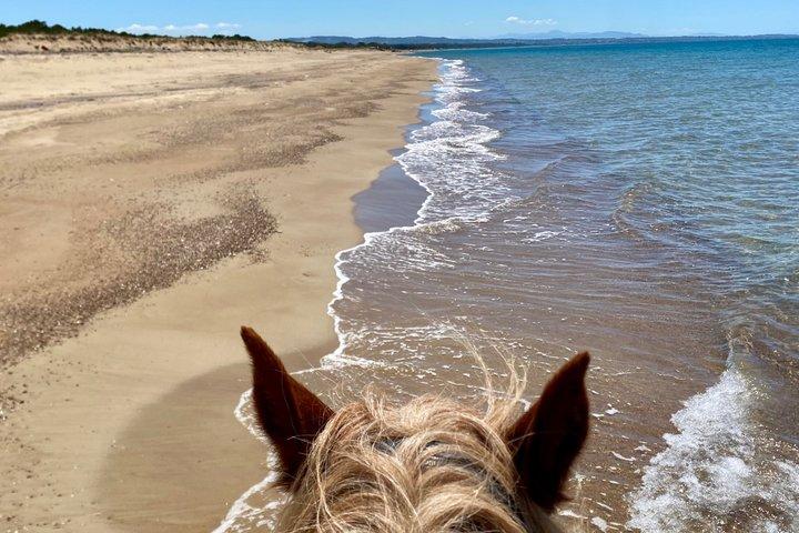 Shared Horse Riding and Kourouta Beach Tour from Katakolo