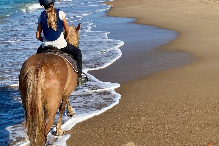 Shared Horse Riding and Kourouta Beach Tour from Katakolo