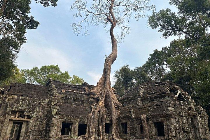 Private Angkor Wat Tour mit Vintage Jeep