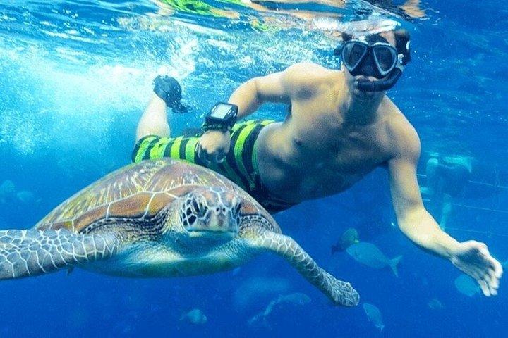 フルガダ・マカディ・ソーマ・ベイ・エル・ゴウナ・サファガからの半潜水艦ツアー