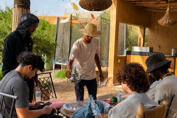Marrakech : Balade privée à cheval dans la palmeraie avec thé