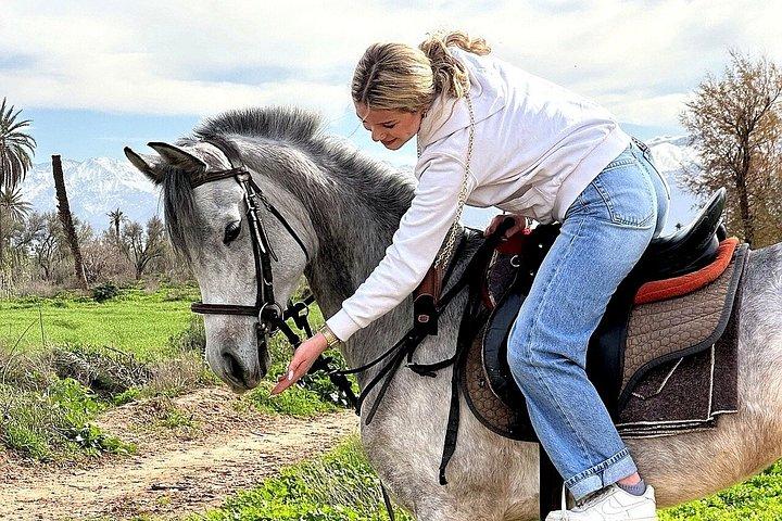 Marrakech : Balade privée à cheval dans la palmeraie avec thé