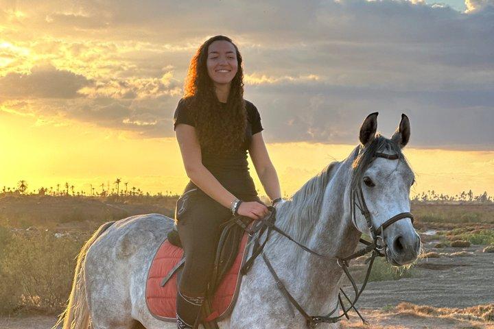 Marrakech : Balade privée à cheval dans la palmeraie avec thé