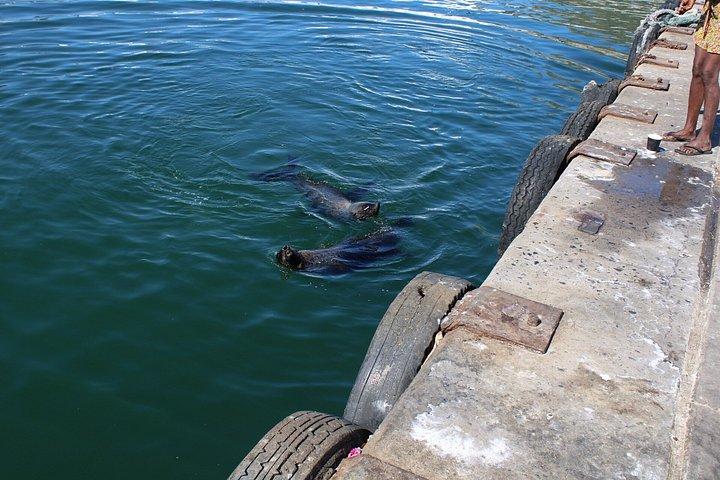 Cidade do Cabo: Table Mountain, Bo-Kaap e Boulders Beach Tour