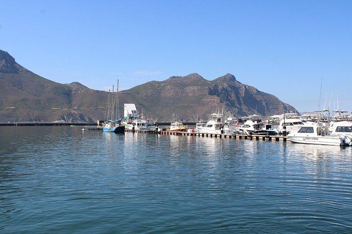 Cidade do Cabo: Table Mountain, Bo-Kaap e Boulders Beach Tour