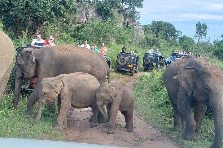 Sri Lanka Private Driver & Car – Tours, Transfers & Day Trips