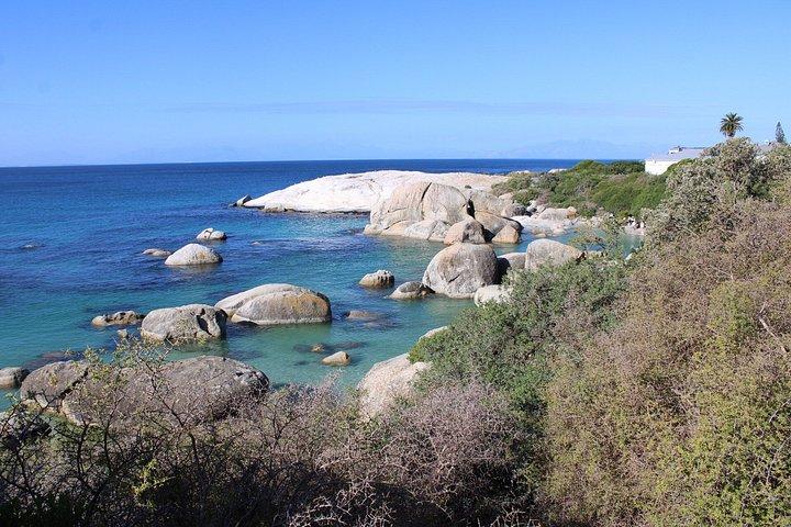 Cidade do Cabo: Table Mountain, Bo-Kaap e Boulders Beach Tour