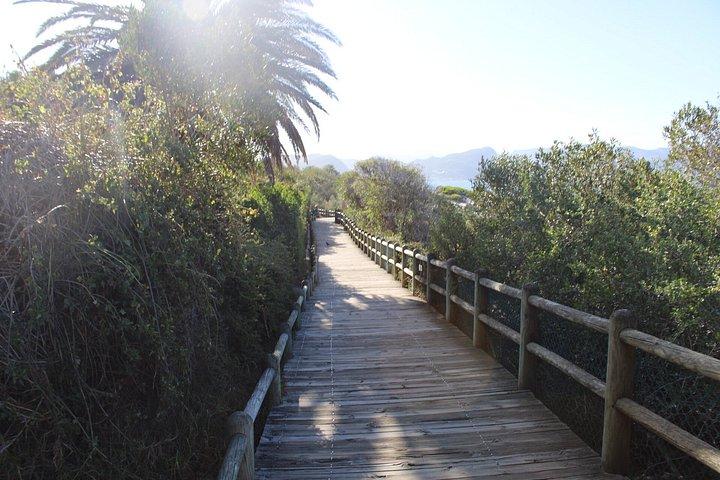Cidade do Cabo: Table Mountain, Bo-Kaap e Boulders Beach Tour