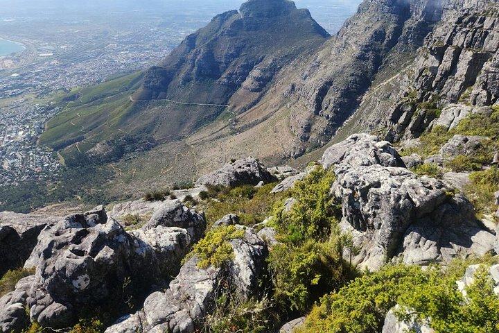 Cidade do Cabo: Table Mountain, Bo-Kaap e Boulders Beach Tour