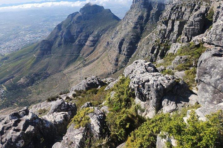 Cidade do Cabo: Table Mountain, Bo-Kaap e Boulders Beach Tour