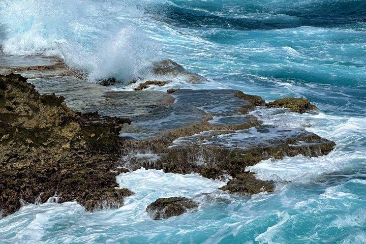 究極の1日プライベートツアー：キュラソー島のハイライトをすべて発見