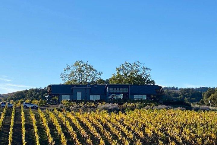Sonoma Winery Tour