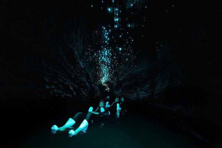 アンダーワールドブラックウォーターアドベンチャー-オークランド発プライベートツアー