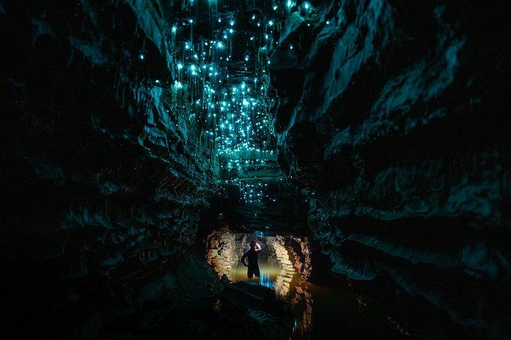アンダーワールドブラックウォーターアドベンチャー-オークランド発プライベートツアー