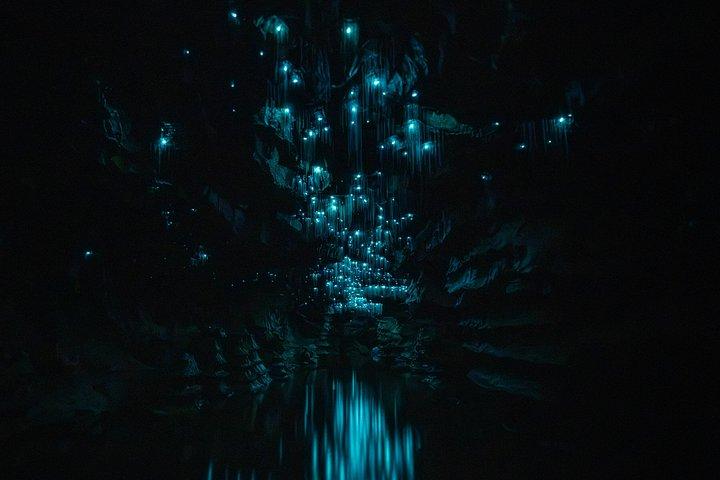 アンダーワールドブラックウォーターアドベンチャー-オークランド発プライベートツアー