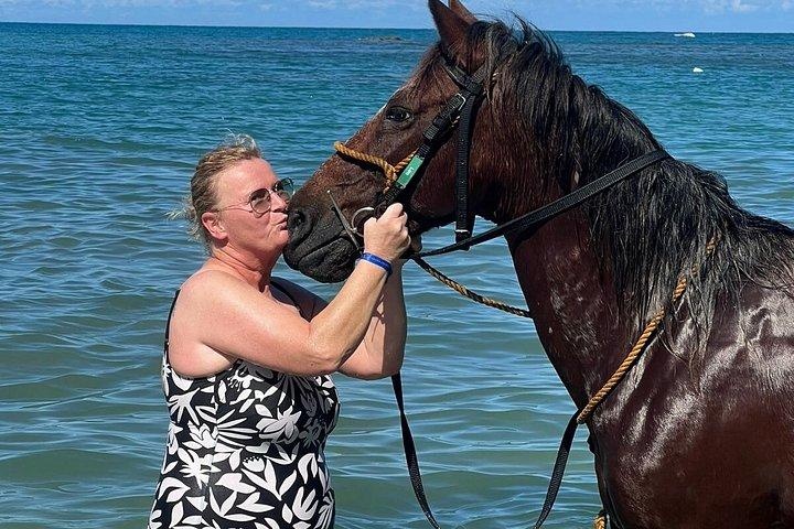 プエルトプラタ : ホテルピックアップビーチ乗馬＆スイムホース