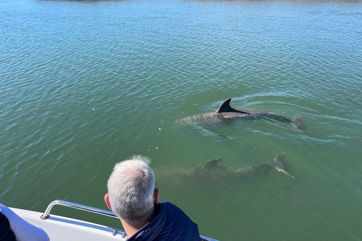 Private Dolphin Watch, Lighthouse and Ecological Boat Tours