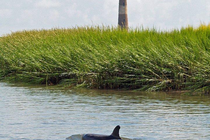 Private Dolphin Watch, Lighthouse and Ecological Boat Tours