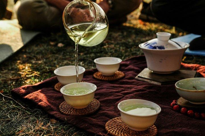 京都銀閣寺と哲学者の軌跡 お茶で歩むソーシャル
