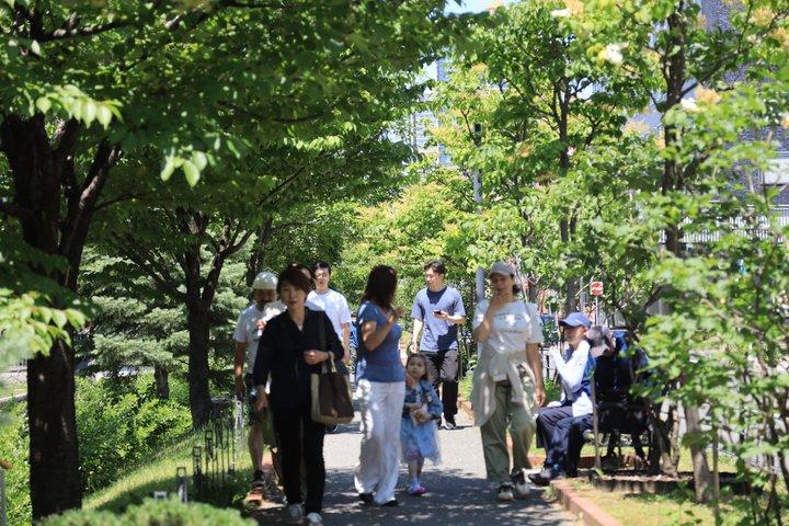 Private Sapporo 3 Hour Cultural Highlights Walk