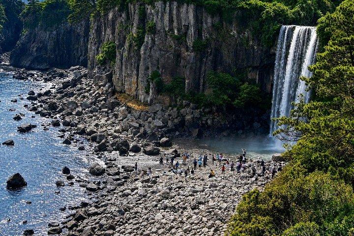 済州南部・西部ハイライトツアー（漢羅山と溶岩崖）