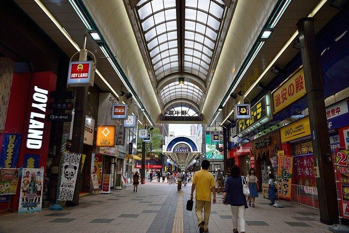 Private Sapporo 3 Hour Cultural Highlights Walk