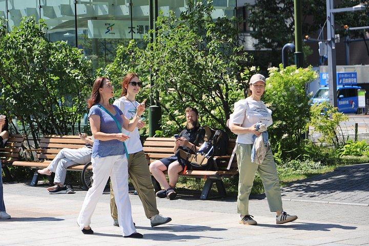 Private Sapporo 3 Hour Cultural Highlights Walk