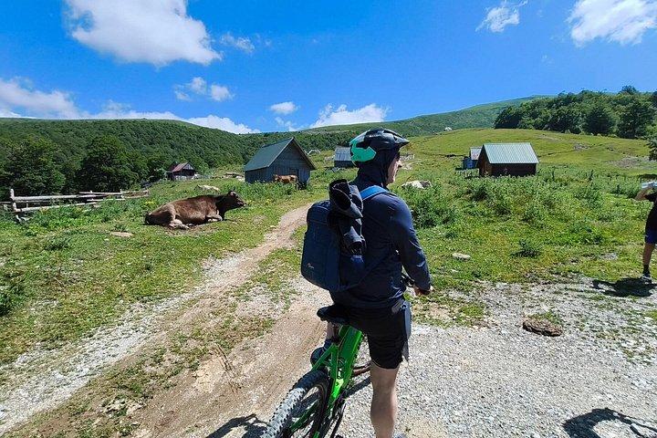 Tour en bicicleta Kolašin