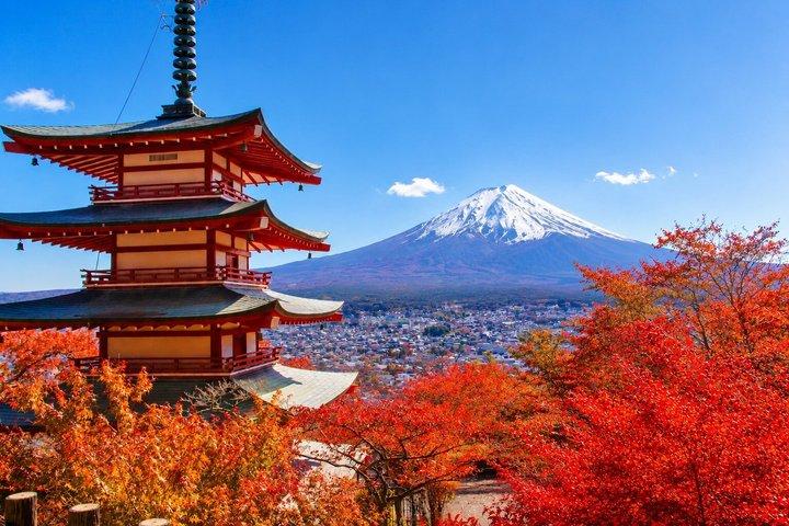 Mt.Fuji, Arakurayama, Fujimichi , Oishi Park, Lake Kawaguchiko Tour
