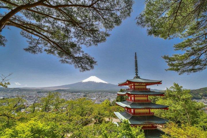 Mt.Fuji, Arakurayama,Fujimichi,Oishi Park, Kawaguchiko de Tokyo