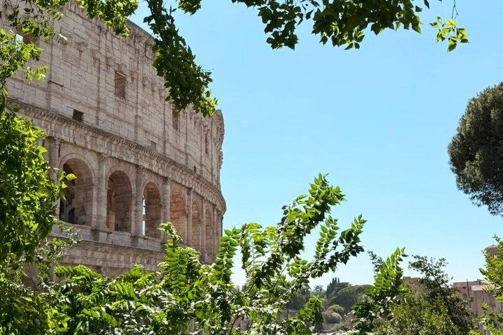 Tour di gruppo dell'antica Roma, Colosseo, Foro Romano e Palatino