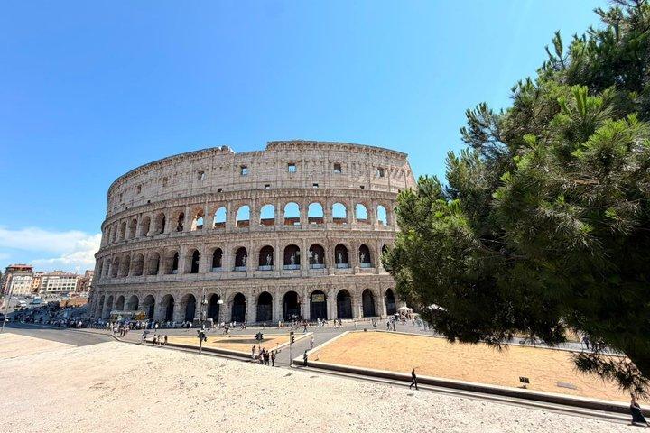 Tour di gruppo dell'antica Roma, Colosseo, Foro Romano e Palatino