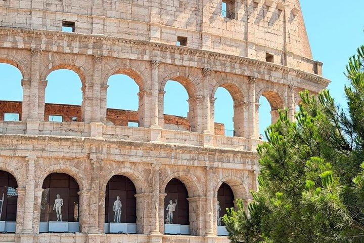 Tour di gruppo dell'antica Roma, Colosseo, Foro Romano e Palatino