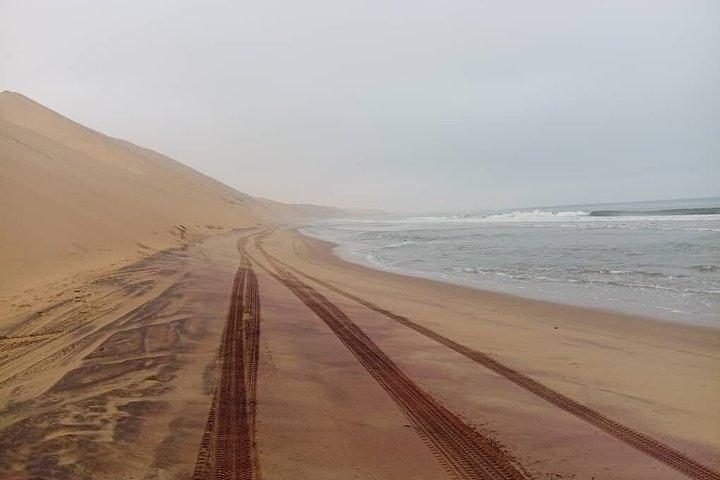 サンドイッチハーバー4×4ガイド付き小旅行