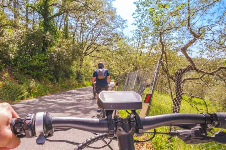 フィレンツェ：オリーブオイルの試飲やプールでリラックスするEバイクツアー