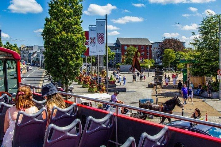 Visite de la ville en bus à arrêts multiples