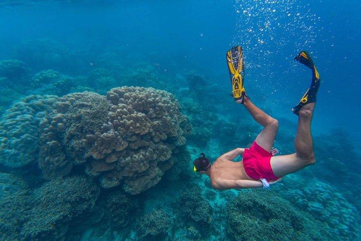 Orange Bay Island: Snorkeling Trip with Transfers, Lunch & More!