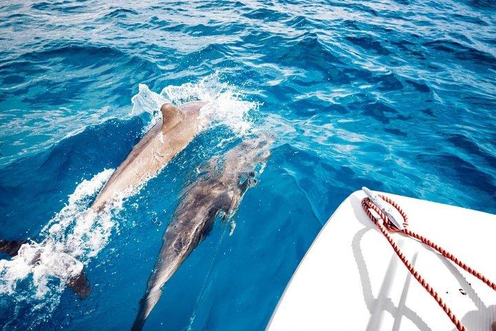 Orange Bay Island: Snorkeling Trip with Transfers, Lunch & More!