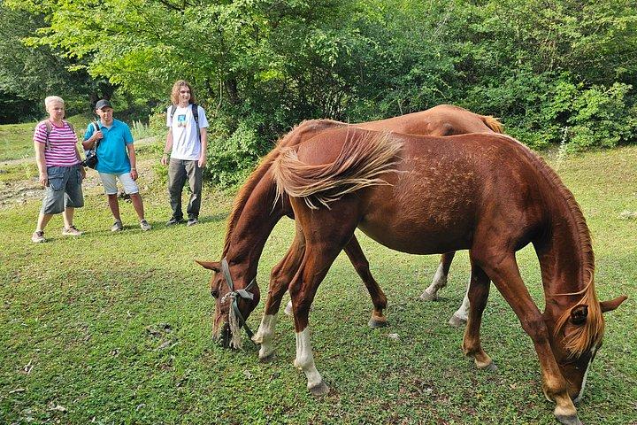 隠れたガラノフール湖：バクーからの1日ガイド付き森林ハイキング