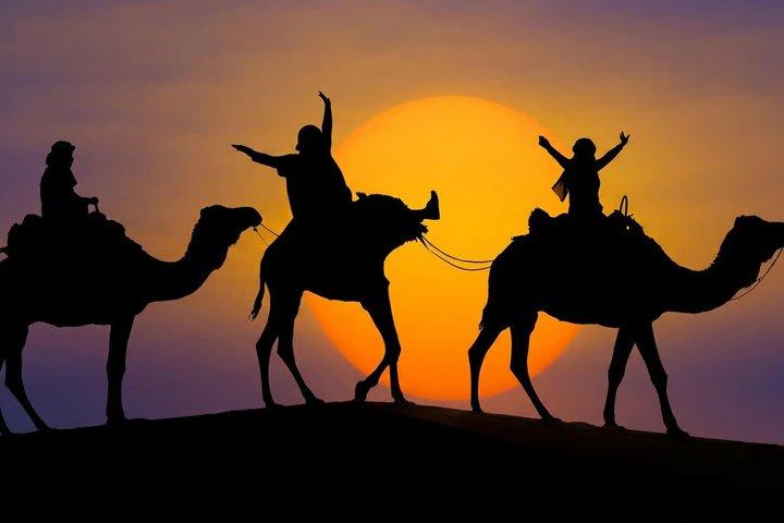 Marrakech : Puesta de sol en el desierto de Agafay, paseo en camello, cena