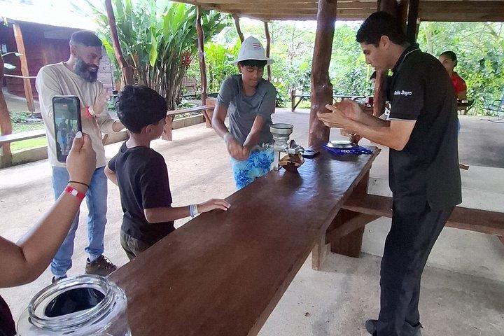 Costa Rica Sloth Chocolate Coffee and Waterfall Experience