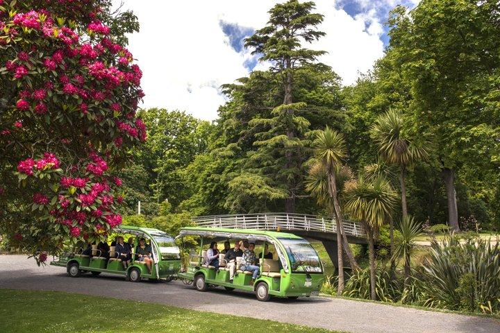 Christchurch Botanic Gardens Tour