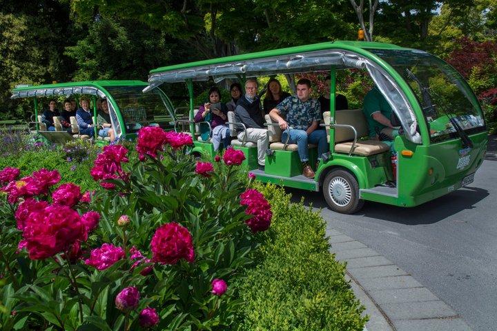 Christchurch Botanic Gardens Tour
