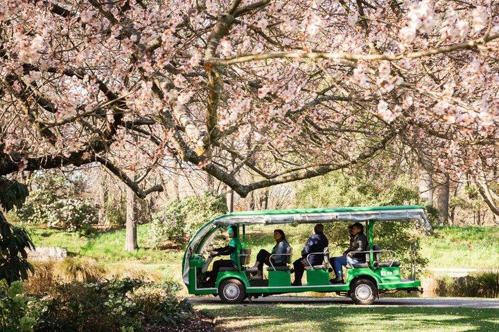 Christchurch Botanic Gardens Tour