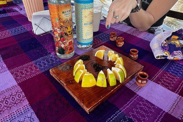 CDMX knows Xochimilco and the sanctuary of Axolotl ajolote