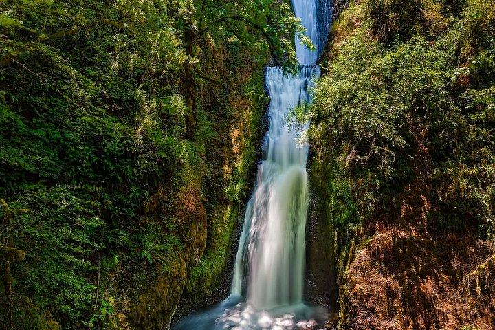 Private Tour zu Multnomah Falls und Columbia Gorge