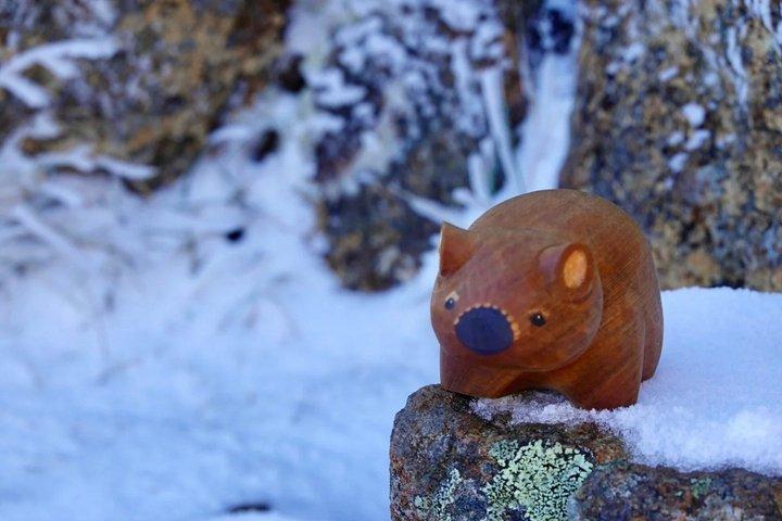 Hobart Hobart Zoo, TMAG and Mount Wellington Guided Day Tour