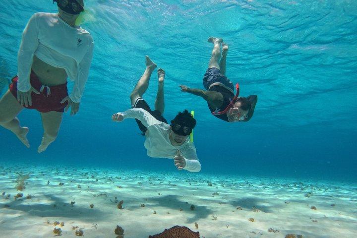 コスメル島のパランカール、トルトゥガス、シエロ、シエリトでのシュノーケリング