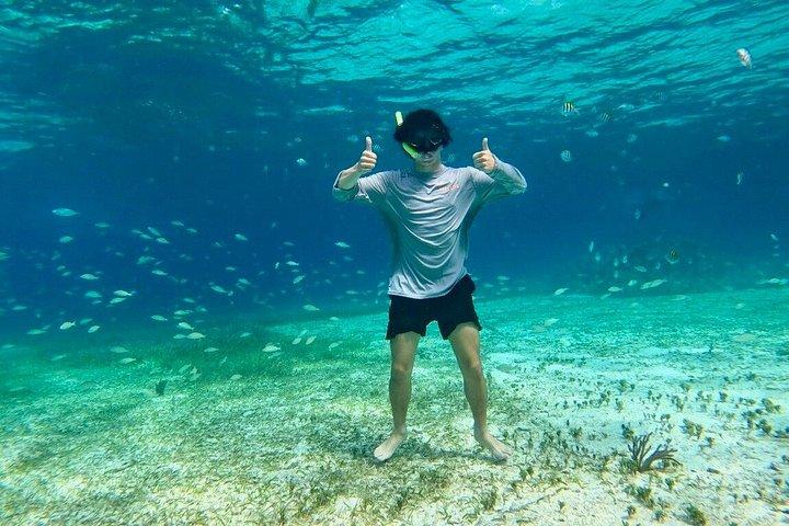コスメル島のパランカール、トルトゥガス、シエロ、シエリトでのシュノーケリング