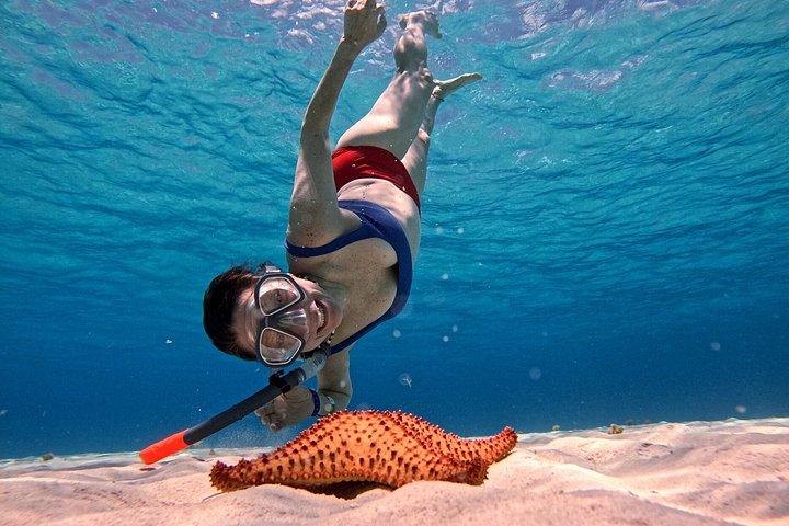 コスメル島のパランカール、トルトゥガス、シエロ、シエリトでのシュノーケリング